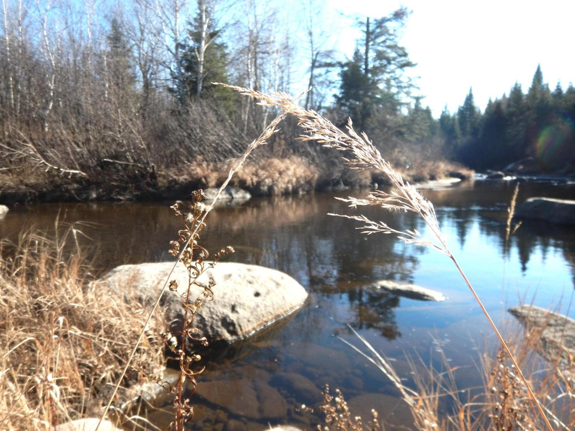 Villa Aux Tipis de la Rivière Sauvage Saint Romain Esterno foto