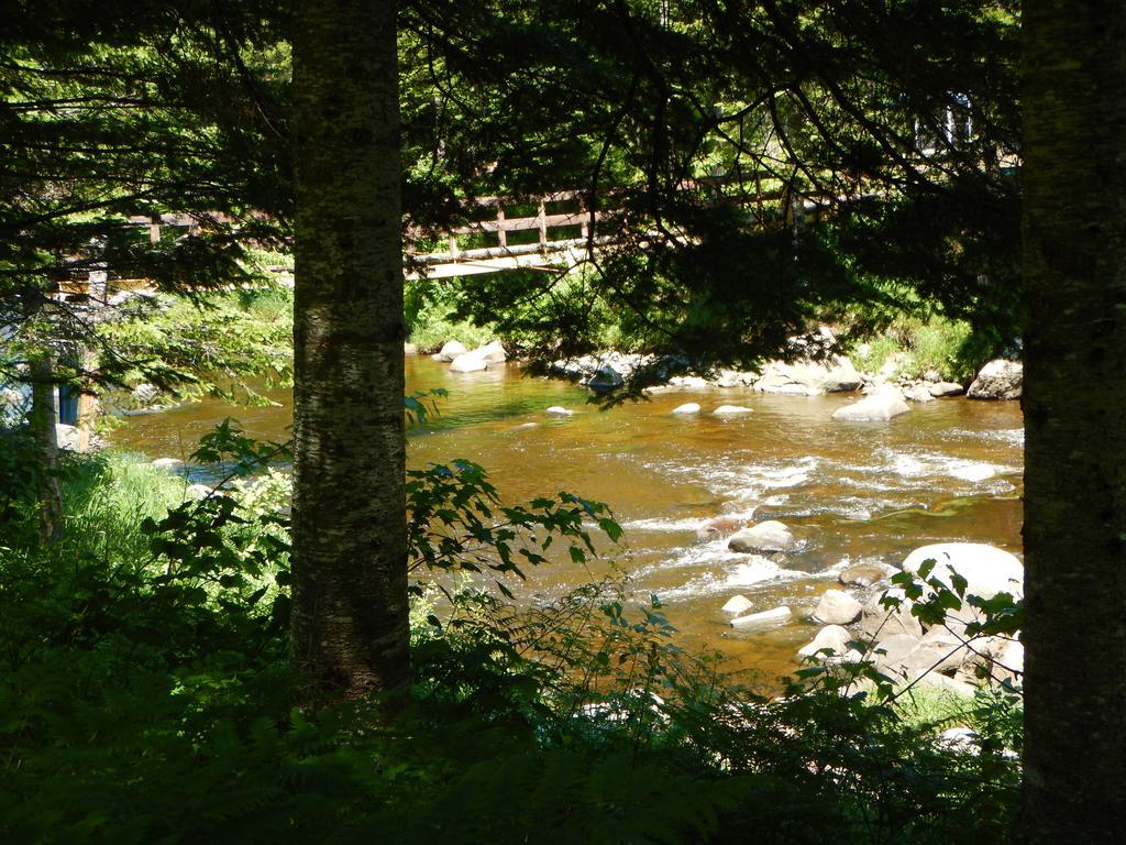 Villa Aux Tipis de la Rivière Sauvage Saint Romain Camera foto