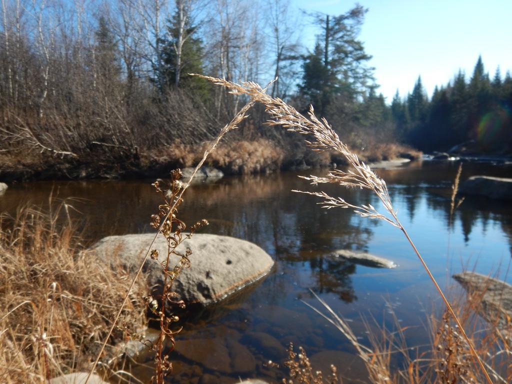 Villa Aux Tipis de la Rivière Sauvage Saint Romain Esterno foto